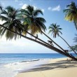 A Great Escape Vacation – St. John U.S. Virgin Islands